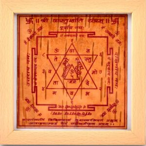 Vaastu Shanti Yantra – Sacred Yantra for Peace, Harmony & Vaastu Dosha Removal
