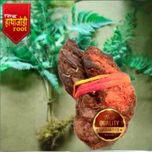 Hatha Jodi – Sacred Vaastu Energy Enhancer