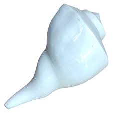 Dakshina Varti Shankh – Sacred Right-Turning Conch for Wealth, Peace & Divine Blessings - Image 2